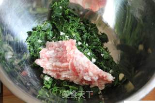 草头饼的做法步骤：3
