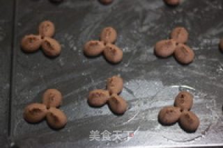 巧克力小酥饼（曲奇）的做法步骤：5