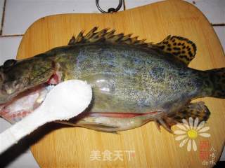 清蒸鳜鱼的做法步骤：2