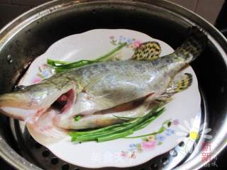 清蒸鳜鱼的做法步骤：5