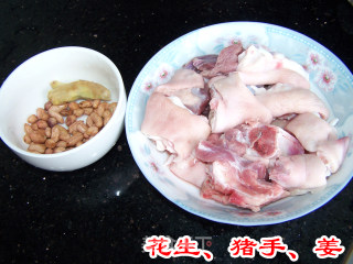 营养花生猪手的做法步骤：1