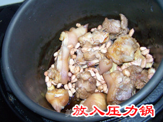 营养花生猪手的做法步骤：5