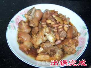 营养花生猪手的做法步骤：7