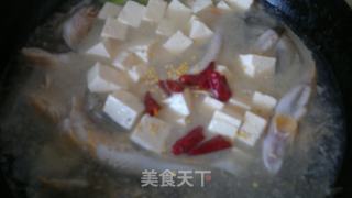 海鲶鱼炖豆腐的做法步骤：7