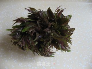 留住春天那一抹香——香椿保存法的做法步骤：1