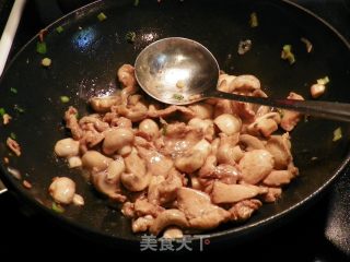 蘑菇炒鸡片的做法步骤：6