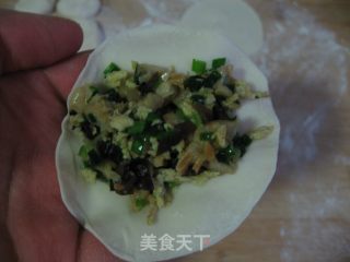 素三鲜饺子的做法步骤：13