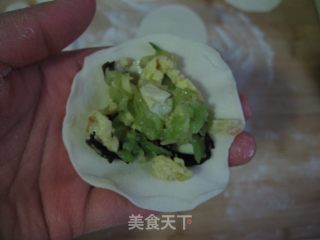 黄瓜鸡蛋素饺子的做法步骤：11