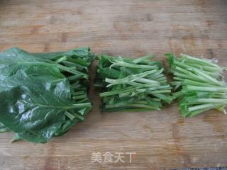 【适合夏天食用的家常菜】姜蓉鸡丝菠菜的做法步骤：4