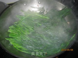 蒜蓉通菜的做法步骤：4
