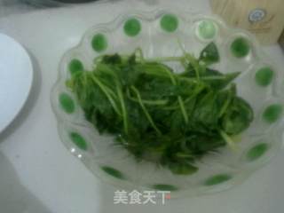爽口蚝油菠菜的做法步骤：1