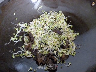 黑木耳炒豆芽的做法步骤：4