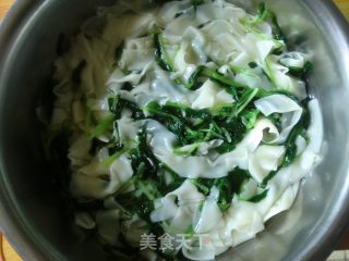 西红柿鸡蛋青菜拌面的做法步骤：17