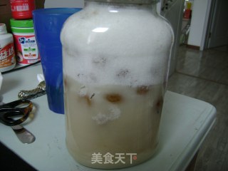 柠檬咸金桔柚子茶的做法步骤：6