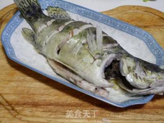 清蒸鳜鱼的做法步骤：8