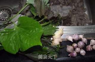 紫苏假蒌炒花甲螺的做法步骤：2