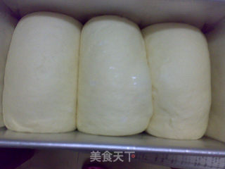 全奶油吐司的做法步骤：11