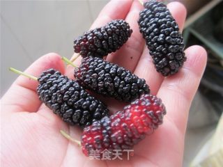 桑果酸奶饮的做法步骤：2