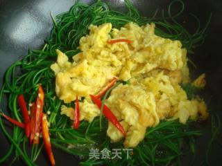 沙葱炒鸡蛋的做法步骤：8