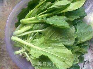 白灼菜心的做法步骤：1