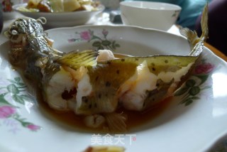 清蒸芝麻剑鱼（淡水河鱼上佳鱼类）的做法步骤：4