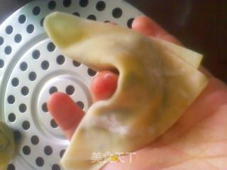 给哥哥的菜——韭菜鸡蛋抄手的做法步骤：9