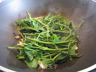 咸虾酱蒜蓉炒番茄叶的做法步骤：5