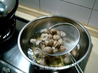 蚝油烧草菇的做法步骤：5