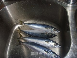 番茄青鱼的做法步骤：1