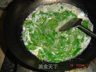 蛋花狗脊叶汤的做法步骤：8