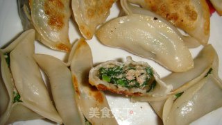 韭菜肉馅饺子的做法步骤：16