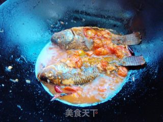 小蕃茄烧罗非鱼的做法步骤：8