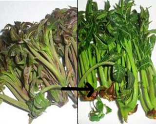 香椿拌豆腐的做法步骤：3