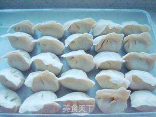 韭菜猪肉饺子的做法步骤：8