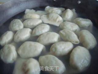 韭菜猪肉饺子的做法步骤：9