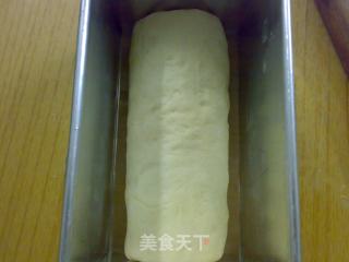 奶油提子吐司的做法步骤：9