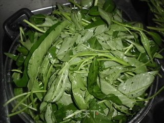 清炒空心菜叶的做法步骤：1