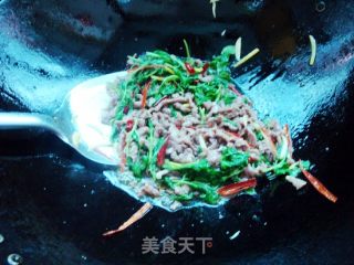滑嫩鲜香的薄荷炒牛肉的做法步骤：8