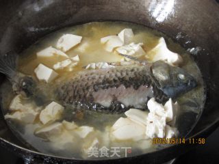鲫鱼炖豆腐的做法步骤：7