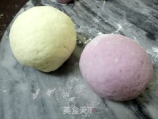 双色生煎肉包的做法步骤：9