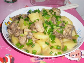 土豆炖鸡的做法步骤：12