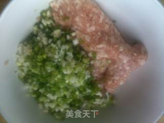 鲜肉香葱馄饨的做法步骤：3