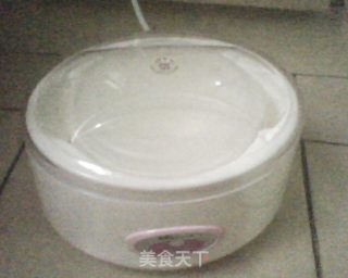 自制老酸奶的做法步骤：8