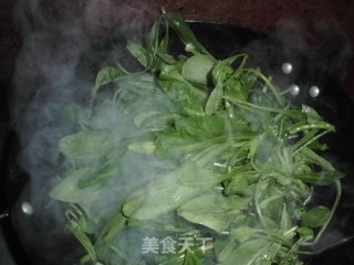 素炒萝卜秧子的做法步骤：4