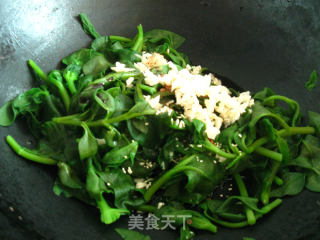 蒜蓉穿心莲的做法步骤：4