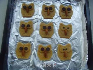 猫头鹰饼干的做法步骤：9