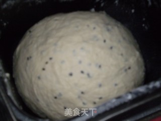松软芝麻吐司的做法步骤：4