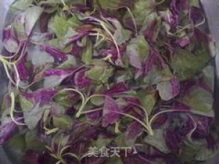 蒜蓉苋菜的做法步骤：1