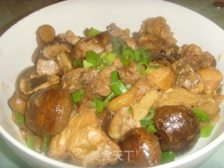 香菇炖鸡肉的做法步骤：7