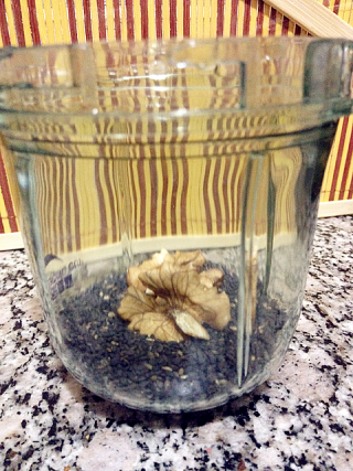 应景儿的营养品——香醇黑芝麻糊的做法步骤：1